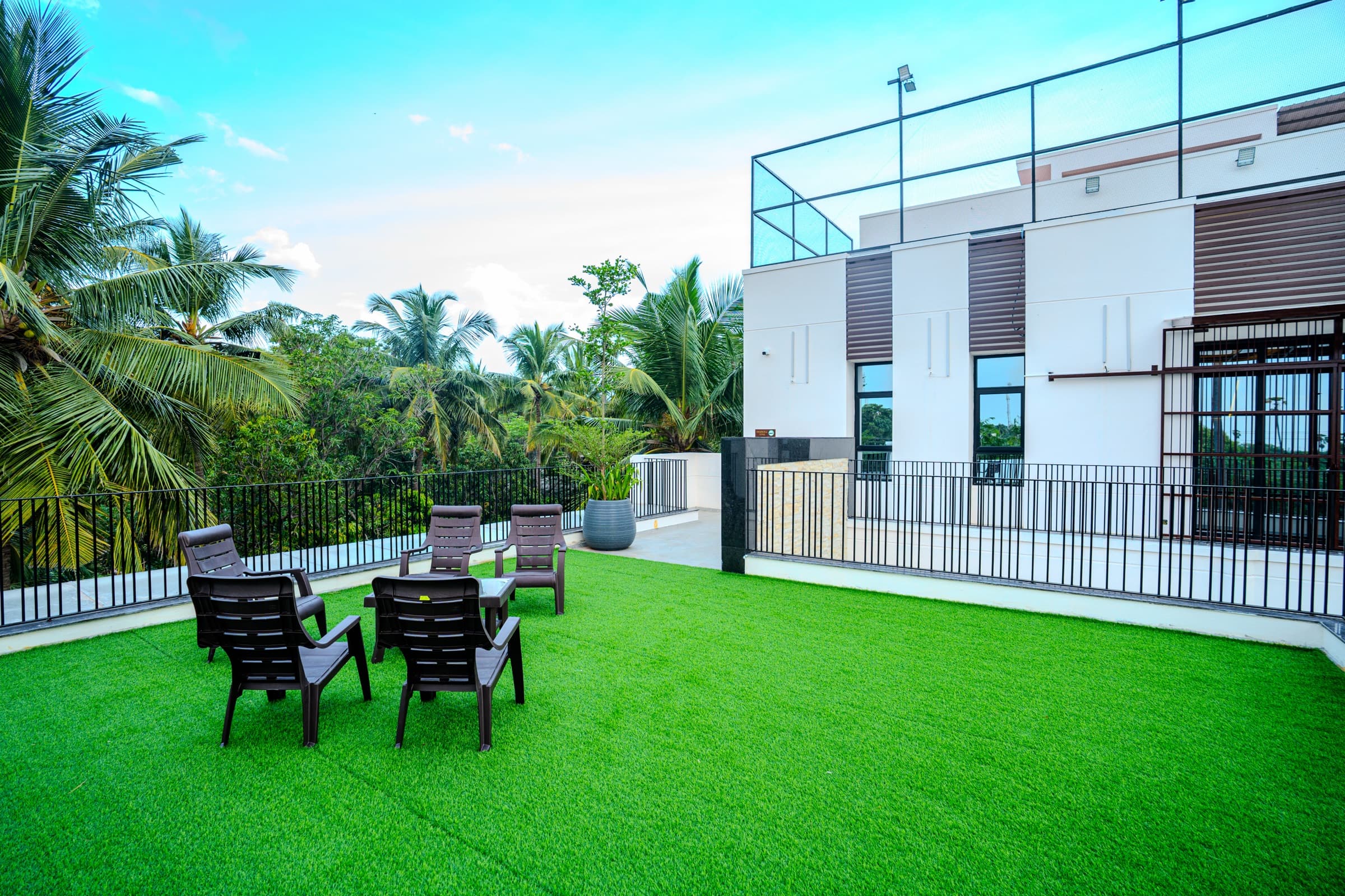 Garden lawn with seating among the palms